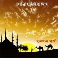 Shohid Gajir Desh Salman Sadi Song Download Mp3
