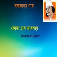Sunno A Buke Bornali Sorkar Song Download Mp3