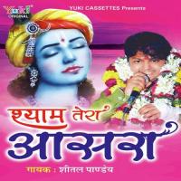 Tera Dar Jabse Paya Hai Sheetal Pandey Song Download Mp3