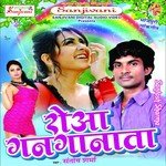 Rowa Gan Ganata songs mp3