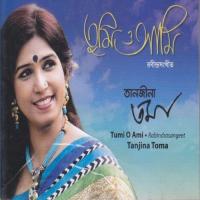 Ami Rupe Tomay Bholabo Na Tanjina Toma Song Download Mp3