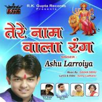 Tere Naam Wala Rang Ashu Larroiya Song Download Mp3
