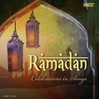 Allaavai Kaattum A.R. Sheik Mohammed Song Download Mp3