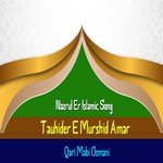 Tawhider-e-Murshid Amar Muhammad Er Naam Qari Mabi Osmani Song Download Mp3