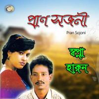 Joldi Koira Sajo Notun Saje Harun,Shopna Song Download Mp3