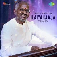 Music Maestro Ilaiyaraaja songs mp3