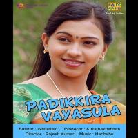 Theme Music - Padikira Vayasula Haribabu Song Download Mp3
