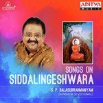 Ninna Nudigalu Nanage Vedavanthe S.P. Balasubrahmanyam Song Download Mp3