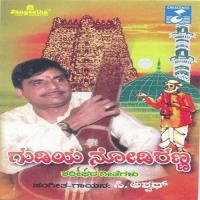 Gudiya Nodiranna songs mp3