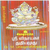 Sri Vinayagar Thuthi Amudhu songs mp3