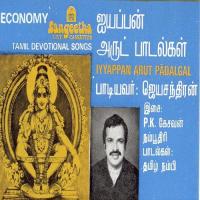Pachaimalai P. Jayachandran Song Download Mp3