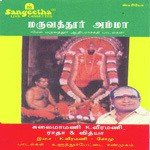 Unnai Ninaiththu K. Veeramani Song Download Mp3