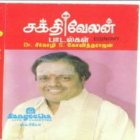 Paadi Panindidum Dr. Seergazhi S. Govindarajan Song Download Mp3