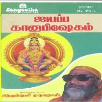 Ayyappan Thunai Pithukuli Murugadas Song Download Mp3