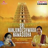 Sri Nanjundeshwara Namasudha songs mp3