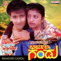 Bharjari Gandu songs mp3