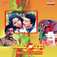 Birugali Beesidaga S.P. Balasubrahmanyam Song Download Mp3