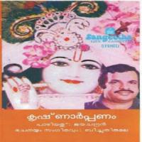 Krishnarppanam songs mp3