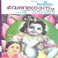 Narayanam Bhaje Kalyani Menon Song Download Mp3