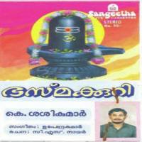 Aaradhana K. Sashikumar Song Download Mp3