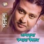 Bhalobasha Kokhono Kaday Polash Song Download Mp3