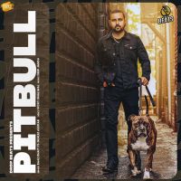 Pitbull Gurlez Akhtar,Baaz Dhatt Song Download Mp3