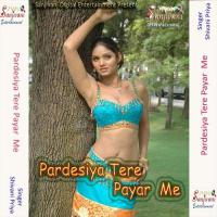 Bin Tere Nahi Jina Shivani Priya Song Download Mp3