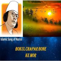 Baka Churir Moto Sadia Afrin Kobir Song Download Mp3