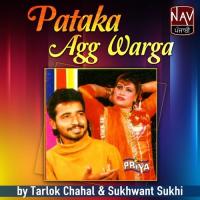 Tu Mainu Kiven Bhul Gayi Sukhwant Sukhi,Tarlok Chahal Song Download Mp3