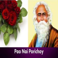 Tumi Mor Pao Nai Poricoy Sadi Mohammad Song Download Mp3
