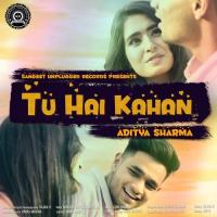 Tu Hai Kahan Aditya Sharma Song Download Mp3