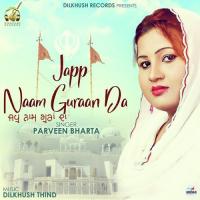 Na Ve Zalmo Parveen Bharta Song Download Mp3