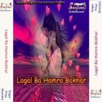 Lagal Ba Hamro Bokhar songs mp3
