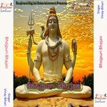 Kawar Leke Aaib Hum Bhola Ji Vinay Bihari Song Download Mp3