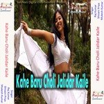 Kahe Baru Choli Jalidar Kaile songs mp3
