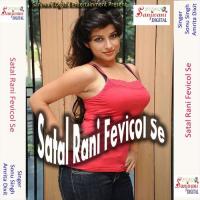 Satal Rani Fevicol Se songs mp3