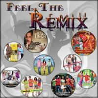 Feel The Remix songs mp3