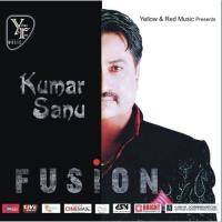 Dekhun Raat Din Tere Sapne Kumar Sanu Song Download Mp3