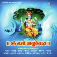 Hey Nath Narayan Vasudevay Ketki Pandey Song Download Mp3
