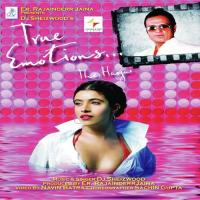 Nikloge Bewaafa Ujwala Jadhav Song Download Mp3