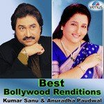 Best Bollywood Renditions (Kumar Sanu And Anuradha Paudwal) songs mp3