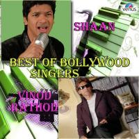 Best Of Bollywood Singers (Shaan And Vinod Rathod) songs mp3