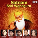 Satnam Shri Waheguru Jagjit Singh Song Download Mp3