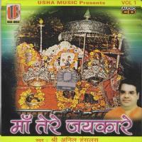 Mata Ji Sanu Daras Deyo Bhai Harjinder Singh Ji Srinagar Wale Song Download Mp3