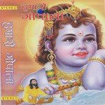 Jai Nandnandan Sukhdham Hare Swami Mukundananda Song Download Mp3