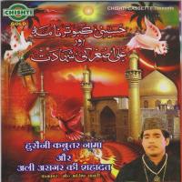 Husaini Kabootar Nama And Ali Asgar Ki Shahadat songs mp3