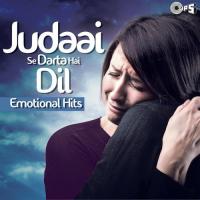 O Sahiba O Sahiba (Dil Hai Tumhaara) Kavita Krishnamurthy,Sonu Nigam Song Download Mp3