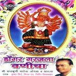 Dongar Garjala Vanicha songs mp3