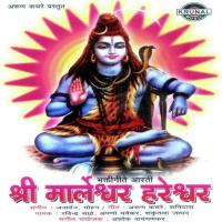 Parshuramacha Pawanbhumit Ravindra Sathe Song Download Mp3