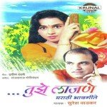 Konta Rhutu Suresh Wadkar Song Download Mp3